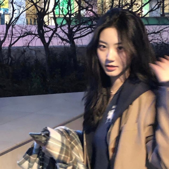 我的青春路过你的锦年